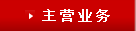 主营业务