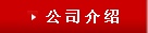 公司介绍