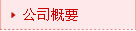 公司概要