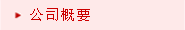 公司概要